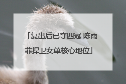 复出后已夺四冠 陈雨菲捍卫女单核心地位